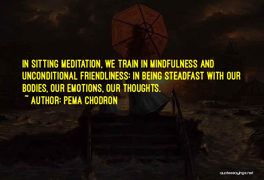 Mindfulness And Meditation Quotes By Pema Chodron