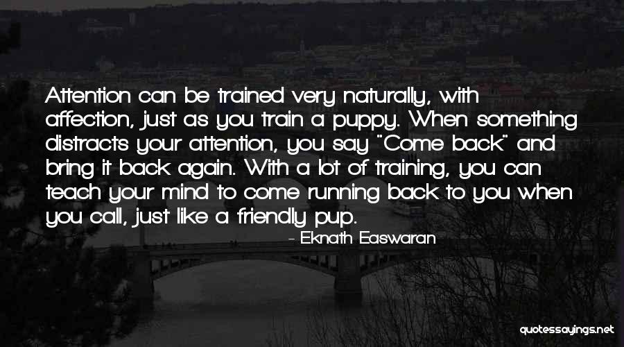 Mindfulness Training Quotes By Eknath Easwaran Mindfulness Training Quotes By Eknath Easwaran