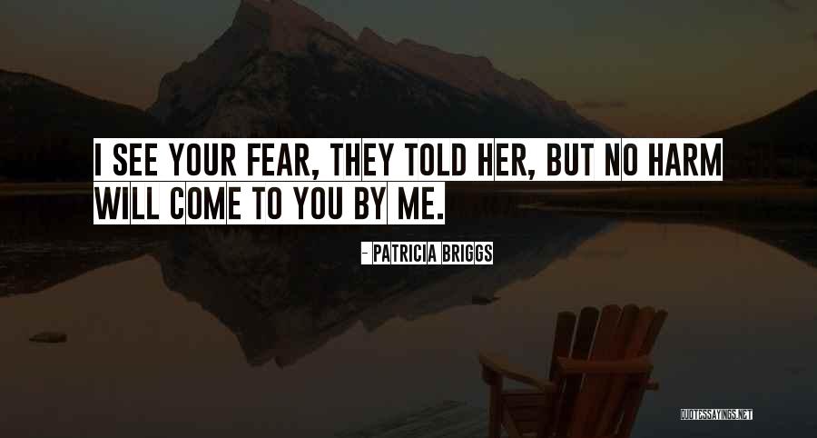Mindler Review Quotes By Patricia Briggs Mindler Review Quotes By Patricia Briggs