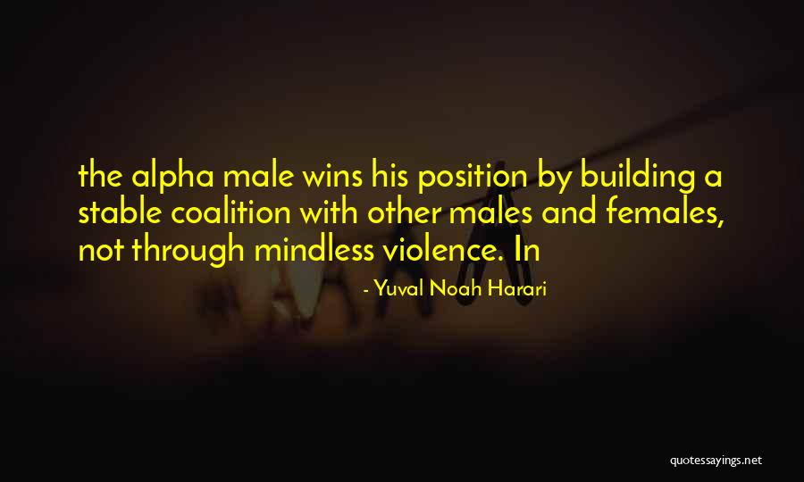 Mindless Violence Quotes By Yuval Noah Harari