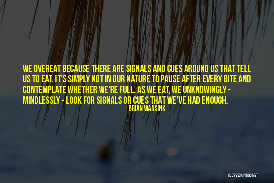 Mindlessly Quotes By Brian Wansink Mindlessly Quotes By Brian Wansink