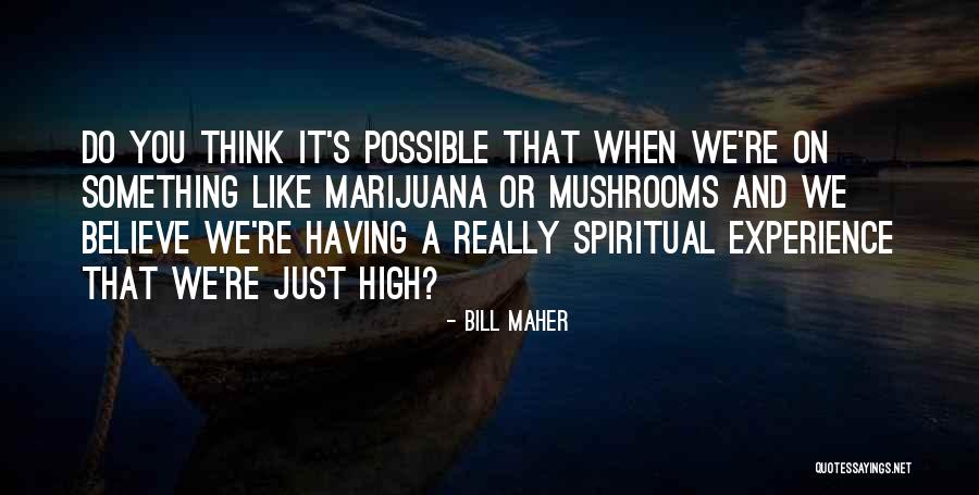 Mindszenty Report Quotes By Bill Maher Mindszenty Report Quotes By Bill Maher