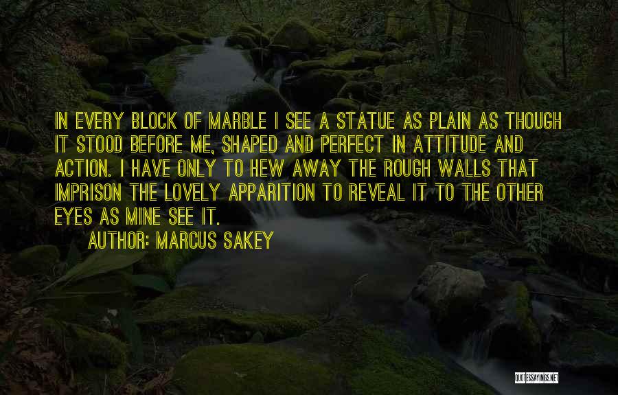 Mine Attitude Quotes By Marcus Sakey