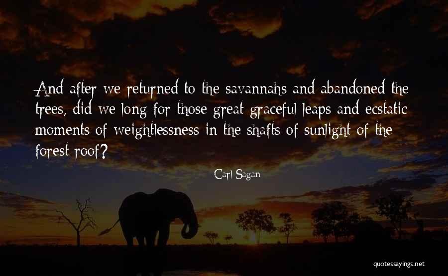 Mine Shafts Quotes By Carl Sagan Mine Shafts Quotes By Carl Sagan