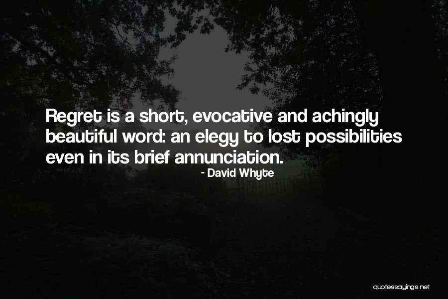 Minekos Night Quotes By David Whyte Minekos Night Quotes By David Whyte