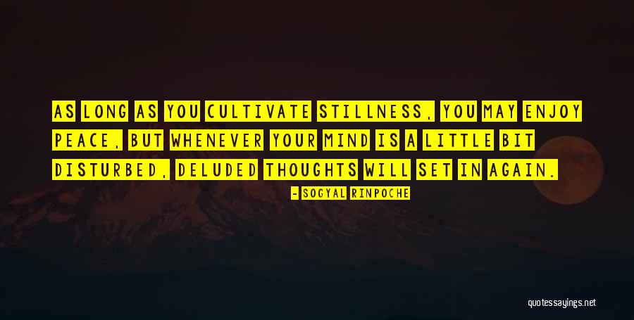 Mineralized Gardens Quotes By Sogyal Rinpoche Mineralized Gardens Quotes By Sogyal Rinpoche