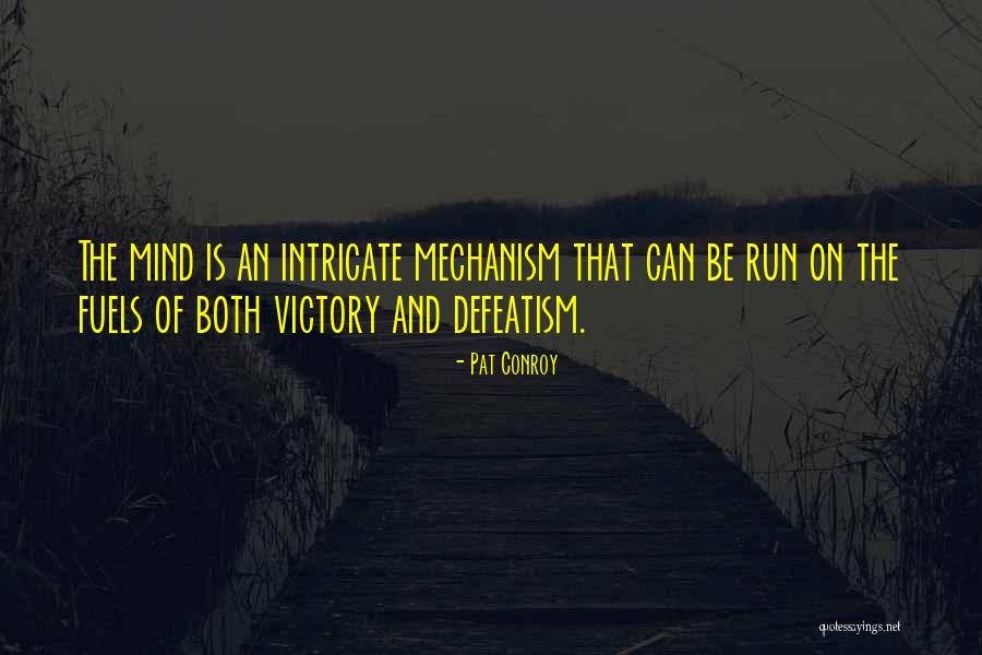 Minerva Mink Quotes By Pat Conroy Minerva Mink Quotes By Pat Conroy
