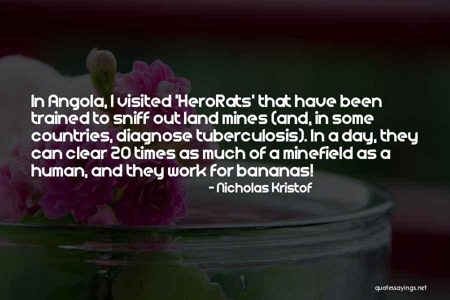 Mines Quotes By Nicholas Kristof Mines Quotes By Nicholas Kristof