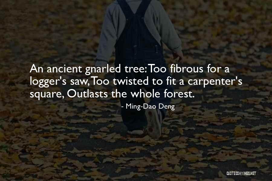 Ming-Dao Deng Quotes 1235522