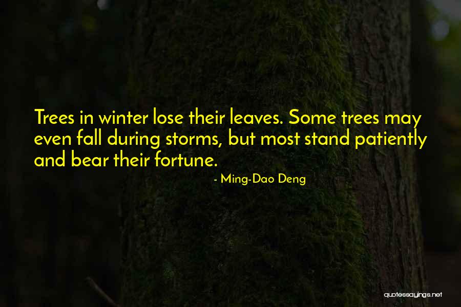 Ming-Dao Deng Quotes 1746557