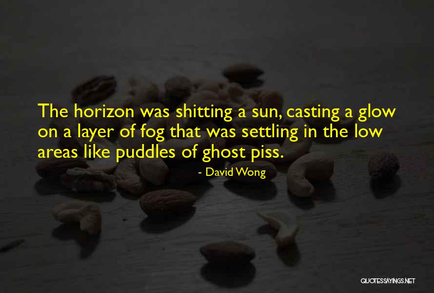 Minging Feet Quotes By David Wong Minging Feet Quotes By David Wong