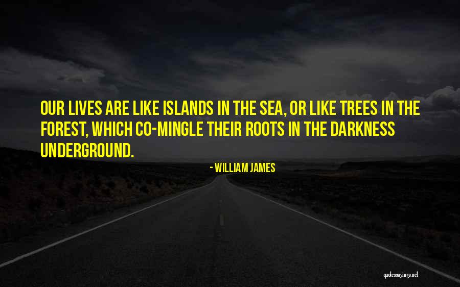 Mingle With Others Quotes By William James