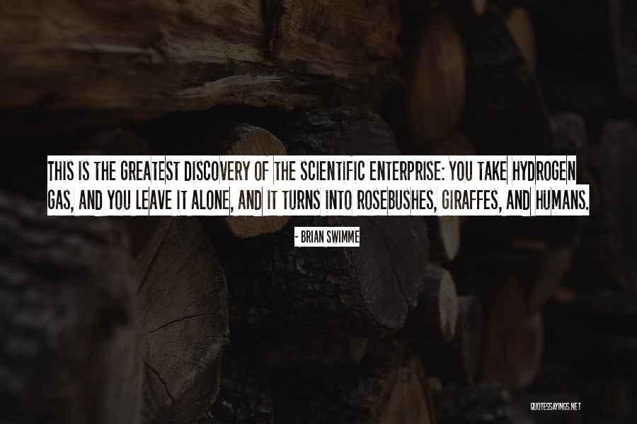 Minhaji Quotes By Brian Swimme Minhaji Quotes By Brian Swimme