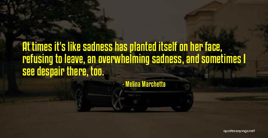 Miniature Australian Shepherd Quotes By Melina Marchetta Miniature Australian Shepherd Quotes By Melina Marchetta
