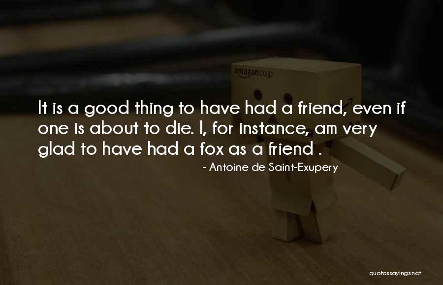 Miniature Donkey Quotes By Antoine De Saint-Exupery Miniature Donkey Quotes By Antoine De Saint-Exupery