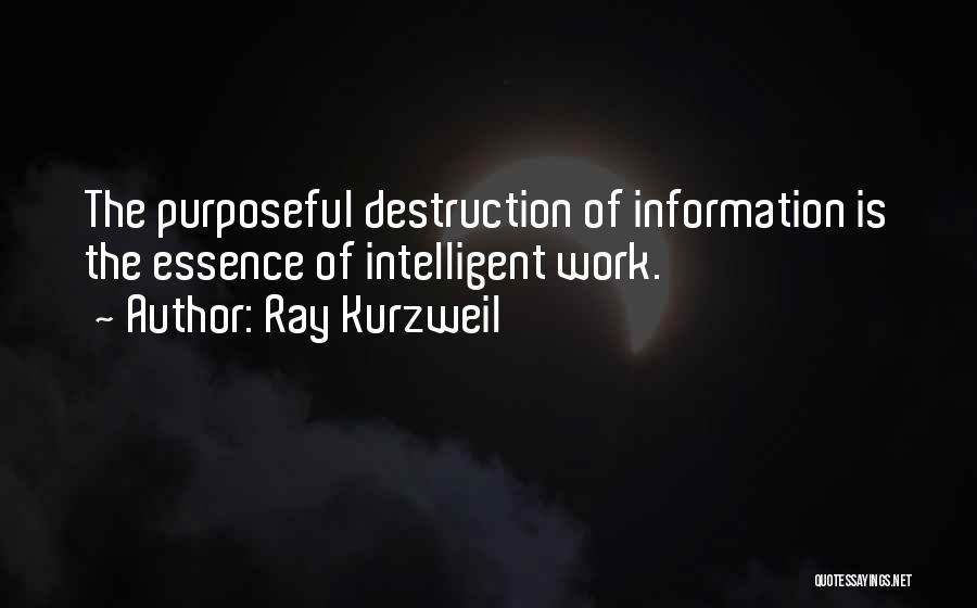 Minimalism Quotes By Ray Kurzweil