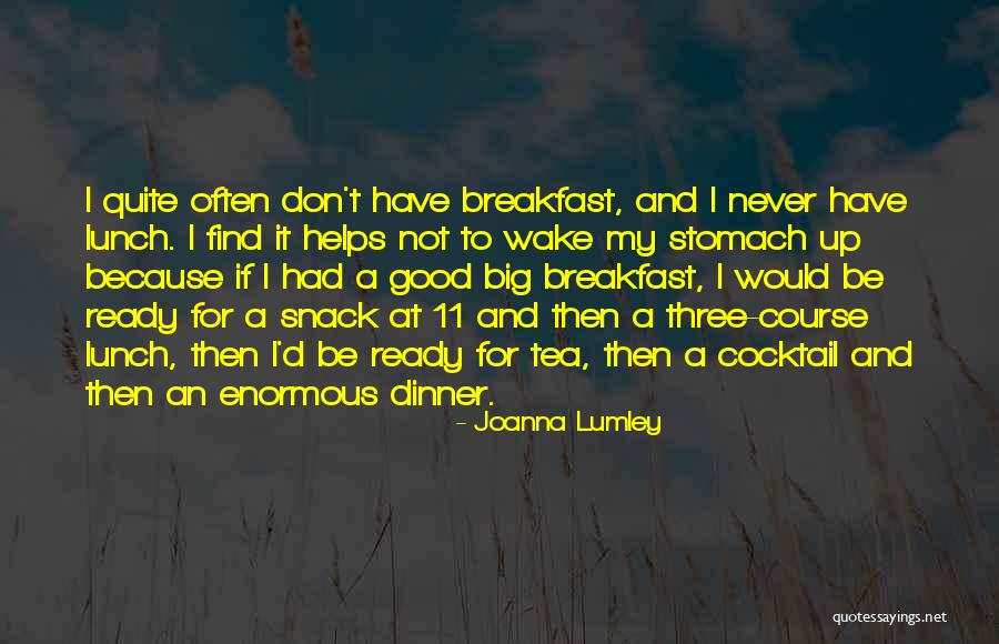 Minimality Metaphor Quotes By Joanna Lumley Minimality Metaphor Quotes By Joanna Lumley