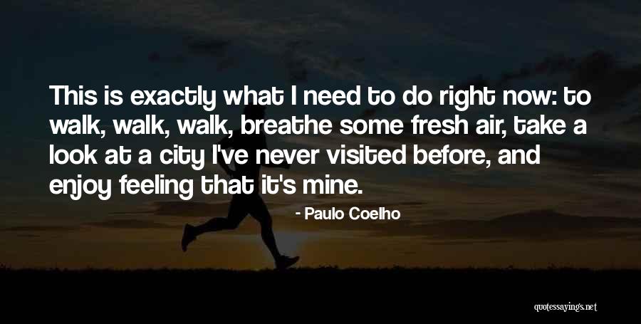 Minimizar Definicion Quotes By Paulo Coelho Minimizar Definicion Quotes By Paulo Coelho