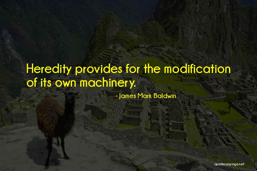 Minimized Windows Quotes By James Mark Baldwin Minimized Windows Quotes By James Mark Baldwin