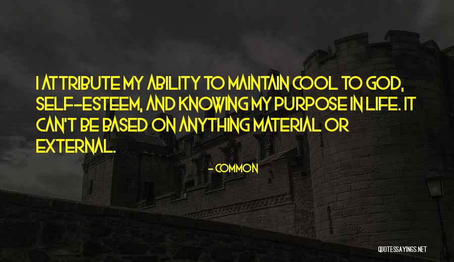 Minimizer Quotes By Common Minimizer Quotes By Common