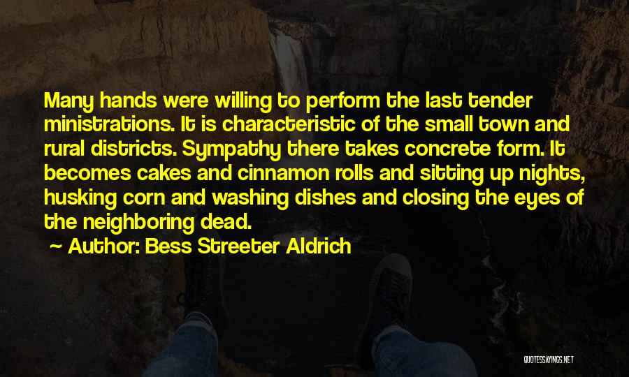 Ministrations Quotes By Bess Streeter Aldrich