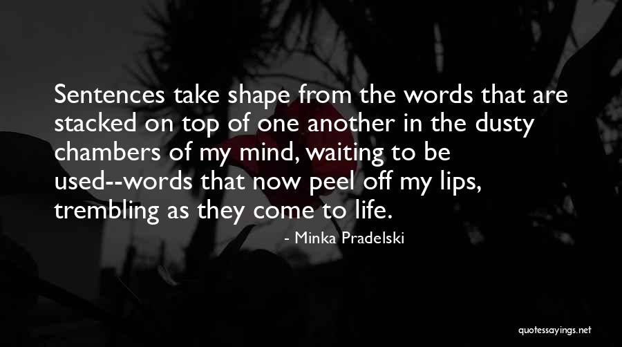 Minka Pradelski Quotes 1351360 Minka Pradelski Quotes 1351360