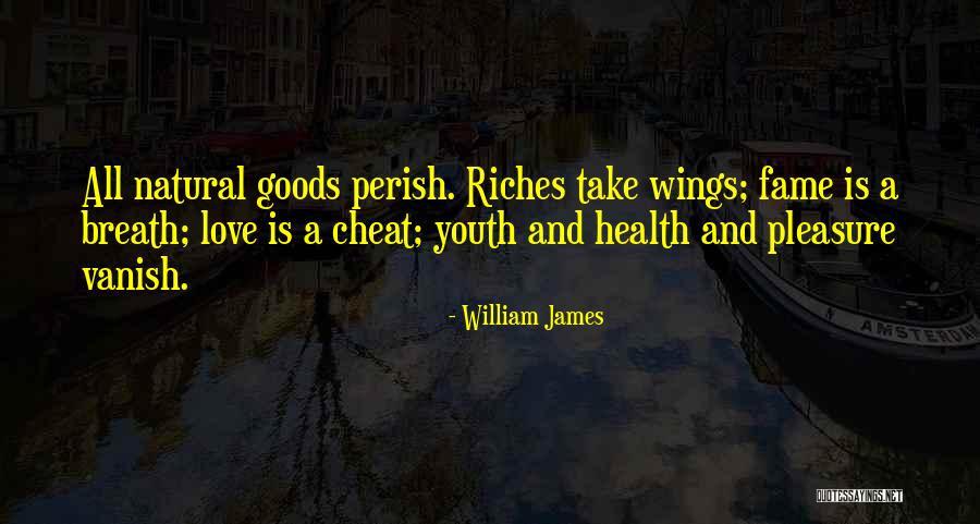 Minkyung Quotes By William James Minkyung Quotes By William James