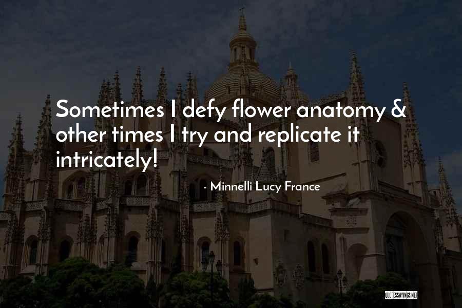 Minnelli Lucy France Quotes 178791