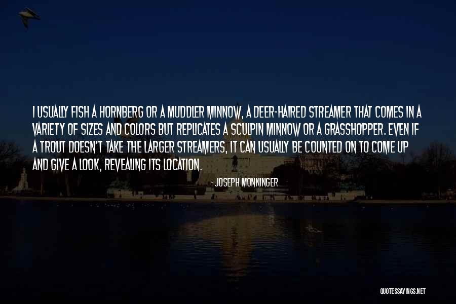 Minnow Fish Quotes By Joseph Monninger Minnow Fish Quotes By Joseph Monninger