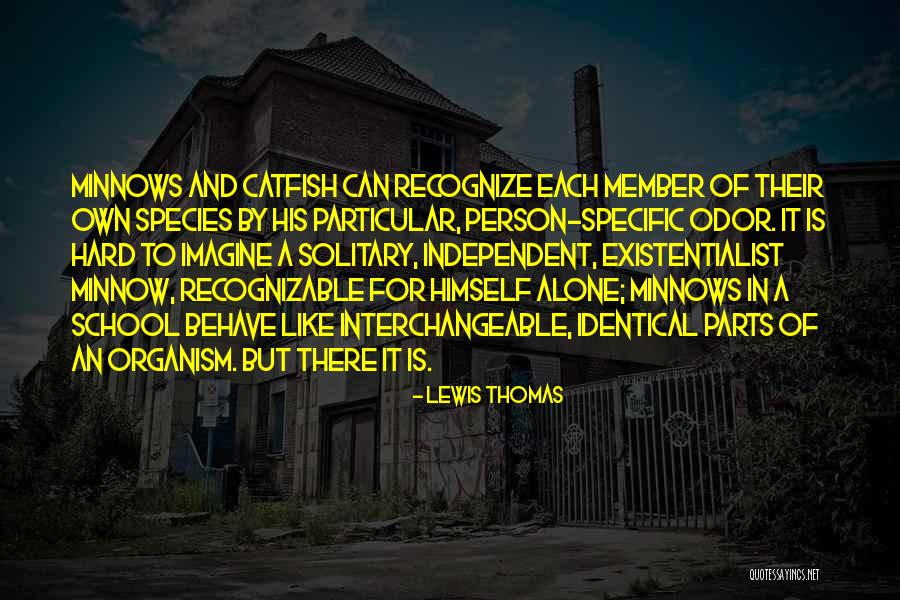 Minnows Quotes By Lewis Thomas Minnows Quotes By Lewis Thomas
