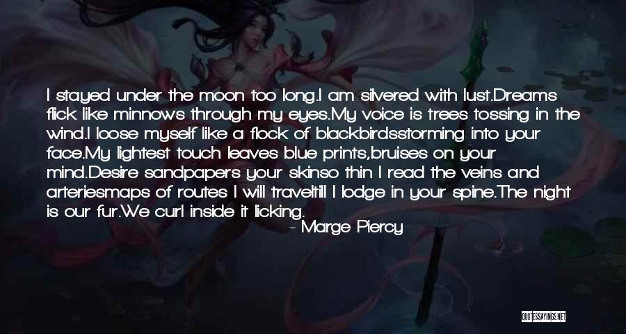 Minnows Quotes By Marge Piercy Minnows Quotes By Marge Piercy