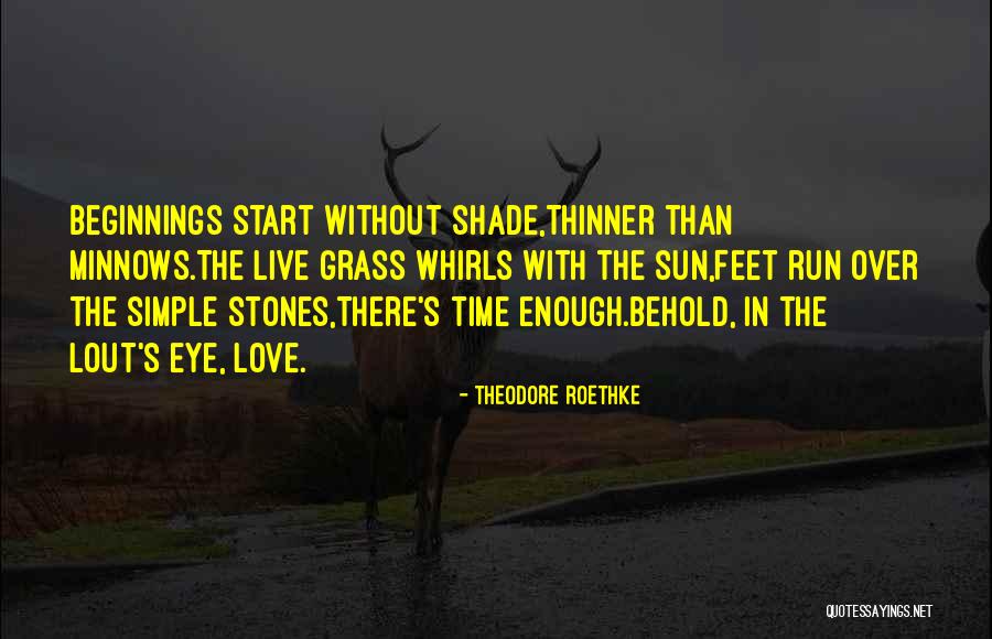 Minnows Quotes By Theodore Roethke Minnows Quotes By Theodore Roethke