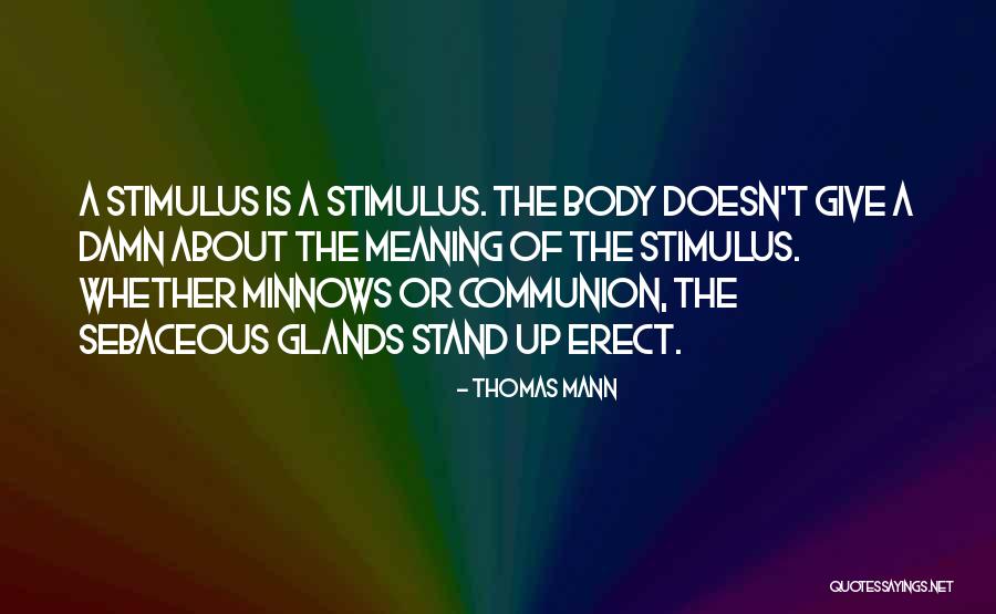 Minnows Quotes By Thomas Mann Minnows Quotes By Thomas Mann