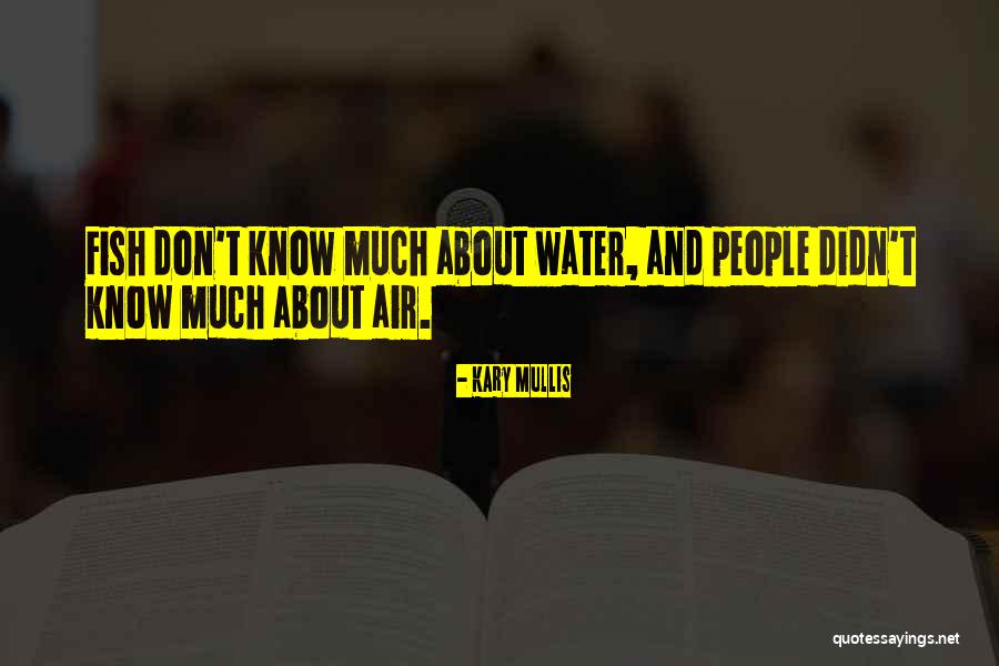 Minoas Sa Quotes By Kary Mullis Minoas Sa Quotes By Kary Mullis