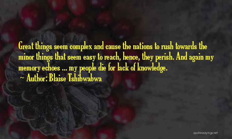 Minor Things Quotes By Blaise Tshibwabwa