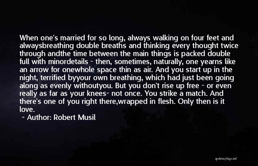 Minor Things Quotes By Robert Musil