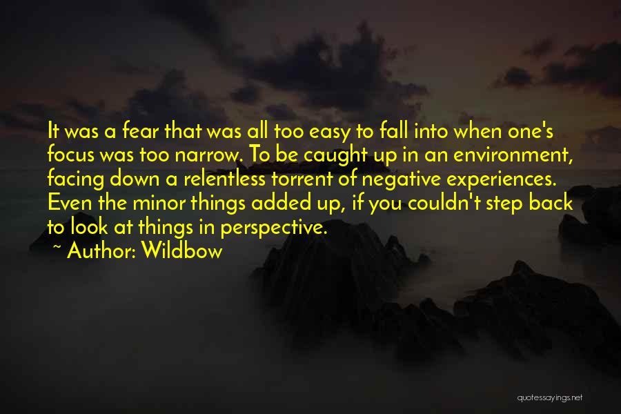 Minor Things Quotes By Wildbow