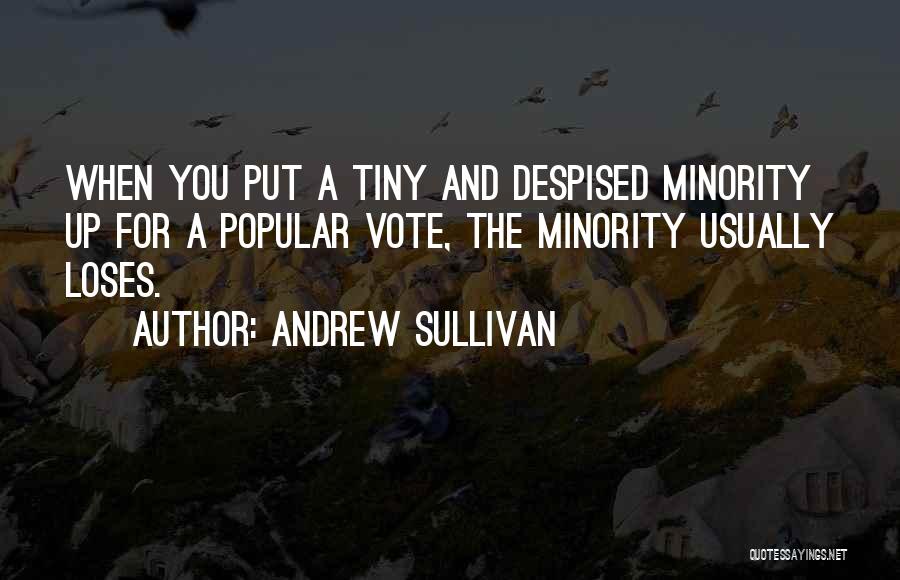 Minority Quotes By Andrew Sullivan