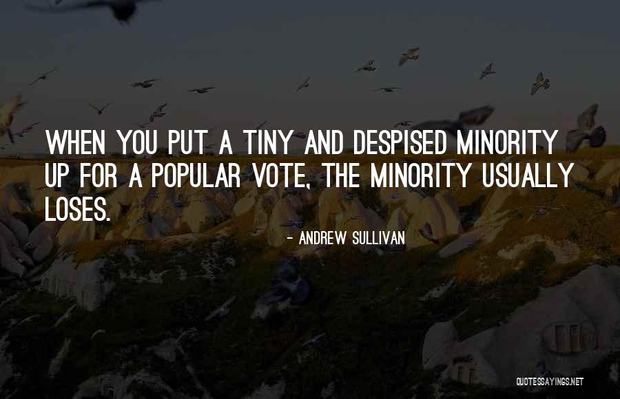 Minority Quotes By Andrew Sullivan