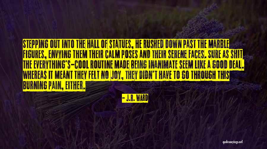 Minshan Mountains Quotes By J.R. Ward Minshan Mountains Quotes By J.R. Ward