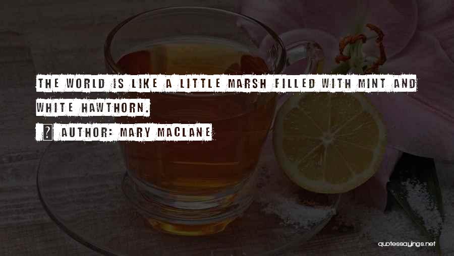 Mint Quotes By Mary MacLane