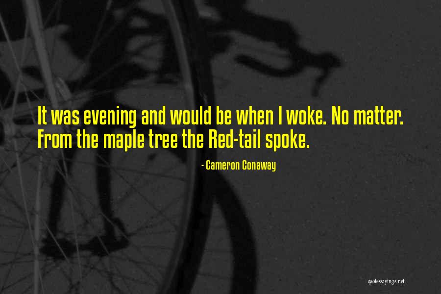 Mintalar Quotes By Cameron Conaway Mintalar Quotes By Cameron Conaway