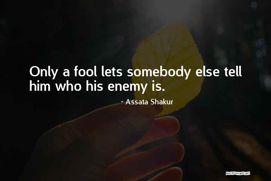 Mintiendo Como Quotes By Assata Shakur Mintiendo Como Quotes By Assata Shakur