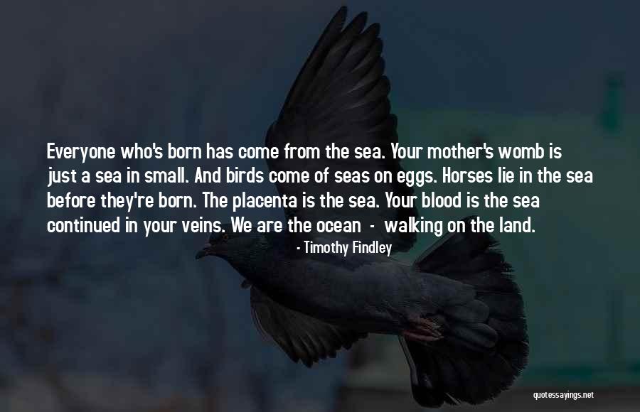 Minty Sainsbury Quotes By Timothy Findley Minty Sainsbury Quotes By Timothy Findley