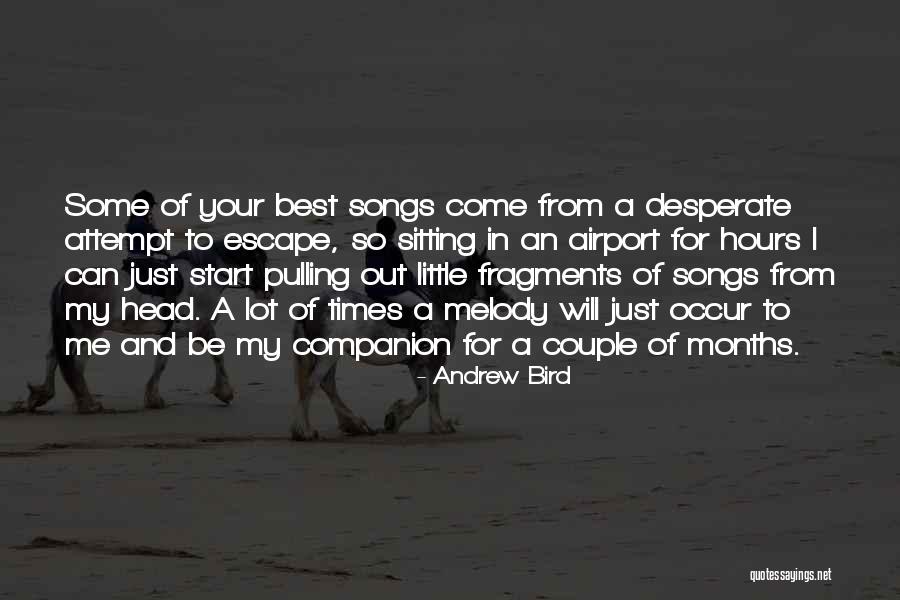 Minuciosamente In English Quotes By Andrew Bird Minuciosamente In English Quotes By Andrew Bird