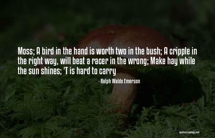 Minuciosamente In English Quotes By Ralph Waldo Emerson Minuciosamente In English Quotes By Ralph Waldo Emerson