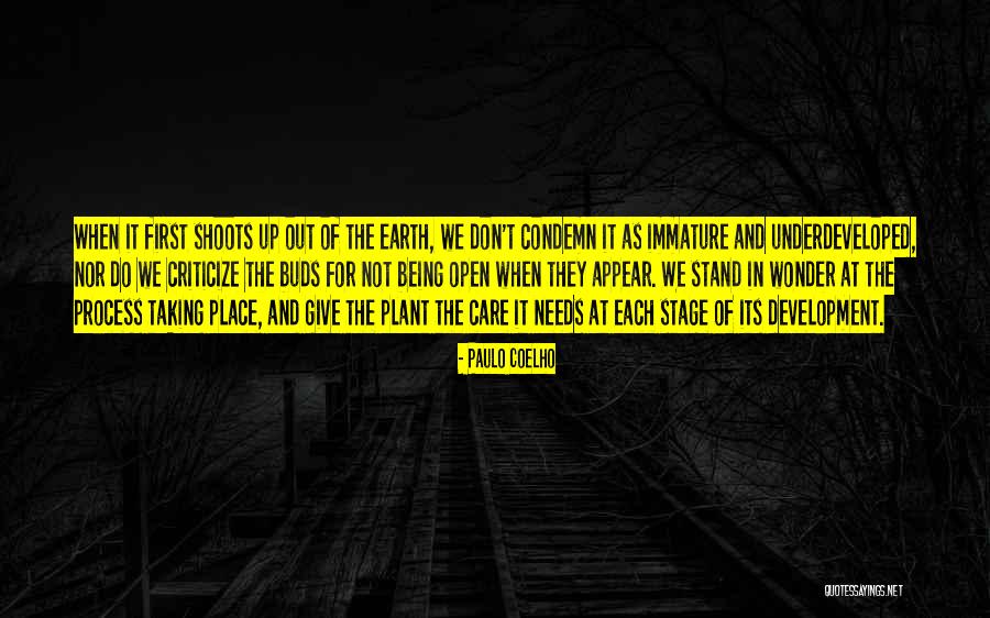 Minunatul Quotes By Paulo Coelho Minunatul Quotes By Paulo Coelho