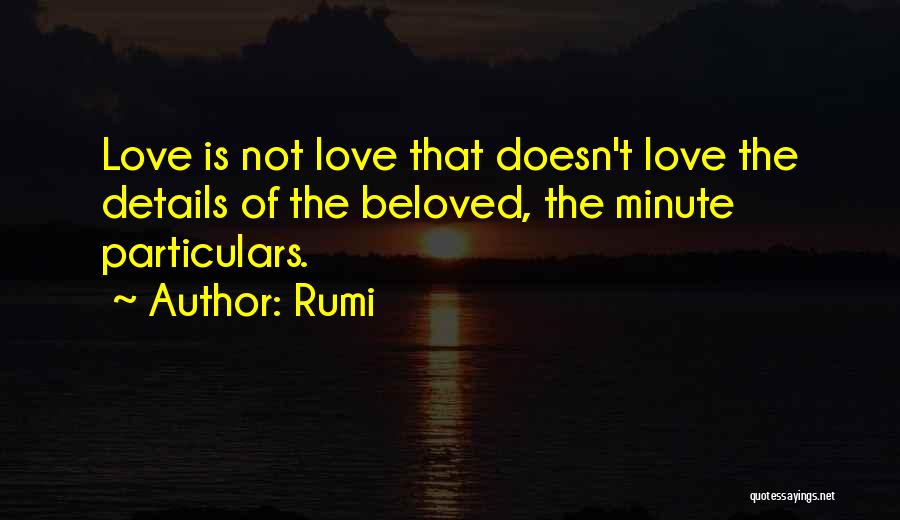 Minute Details Quotes By Rumi