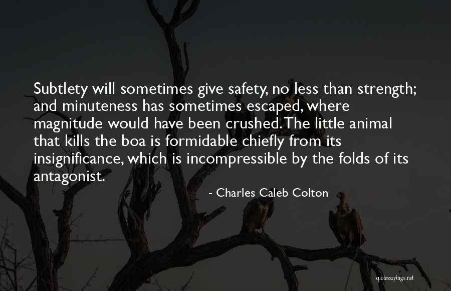 Minuteness Quotes By Charles Caleb Colton Minuteness Quotes By Charles Caleb Colton