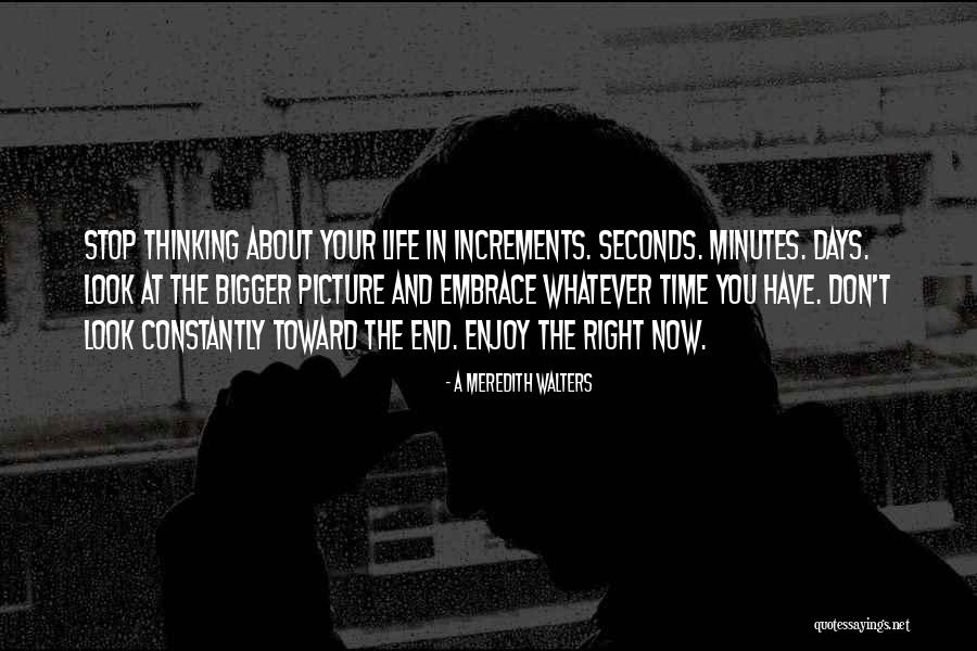 Minutes And Seconds Quotes By A Meredith Walters Minutes And Seconds Quotes By A Meredith Walters